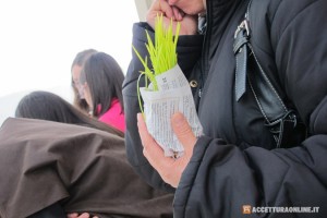 IMG_0390