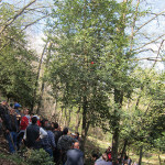 IMG_4500
