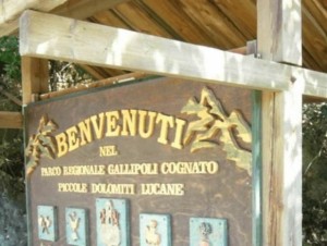 Il-Parco-di-Gallipoli-Cognato,-Piccole-Dolomiti-Lucane--27488
