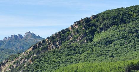 parco-di-gallipoli-cognato