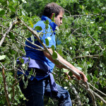 gough_sco_accettura (26)