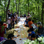 gough_sco_accettura (67)